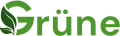DieGrünen Logo.png